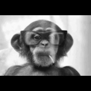 Meet your Posher, Greg